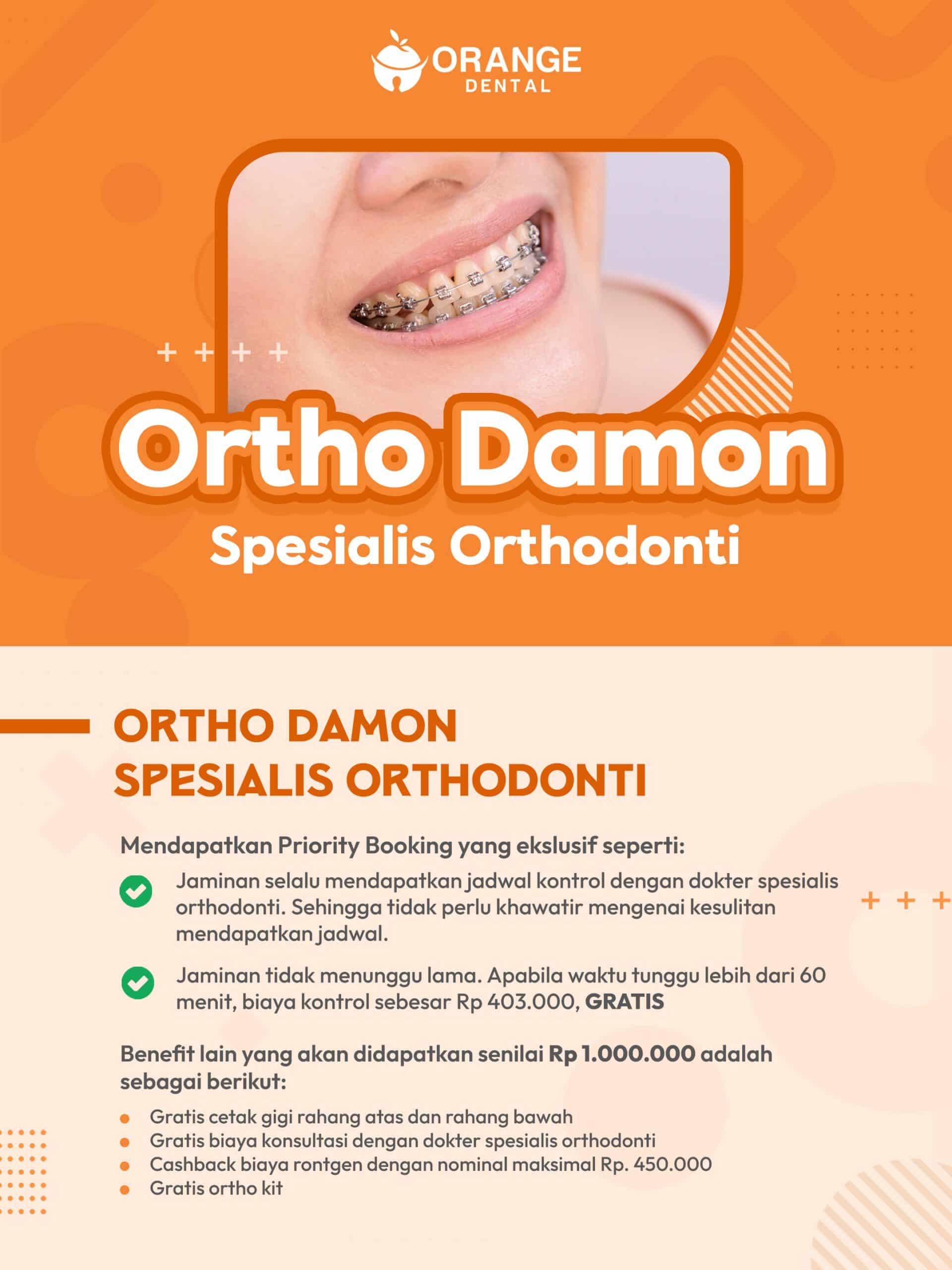 11 - Ortho Damon
